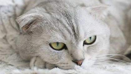 快手24小时自助刷量低价业务小时报