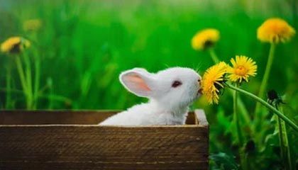 快手自助播放量低价业务24小时服务